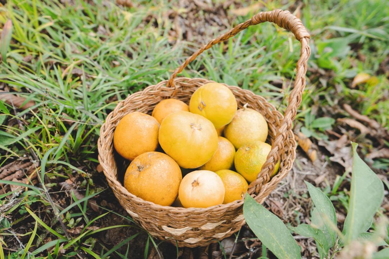 Piripe Wellness Lodge Pacto Buitenkant foto